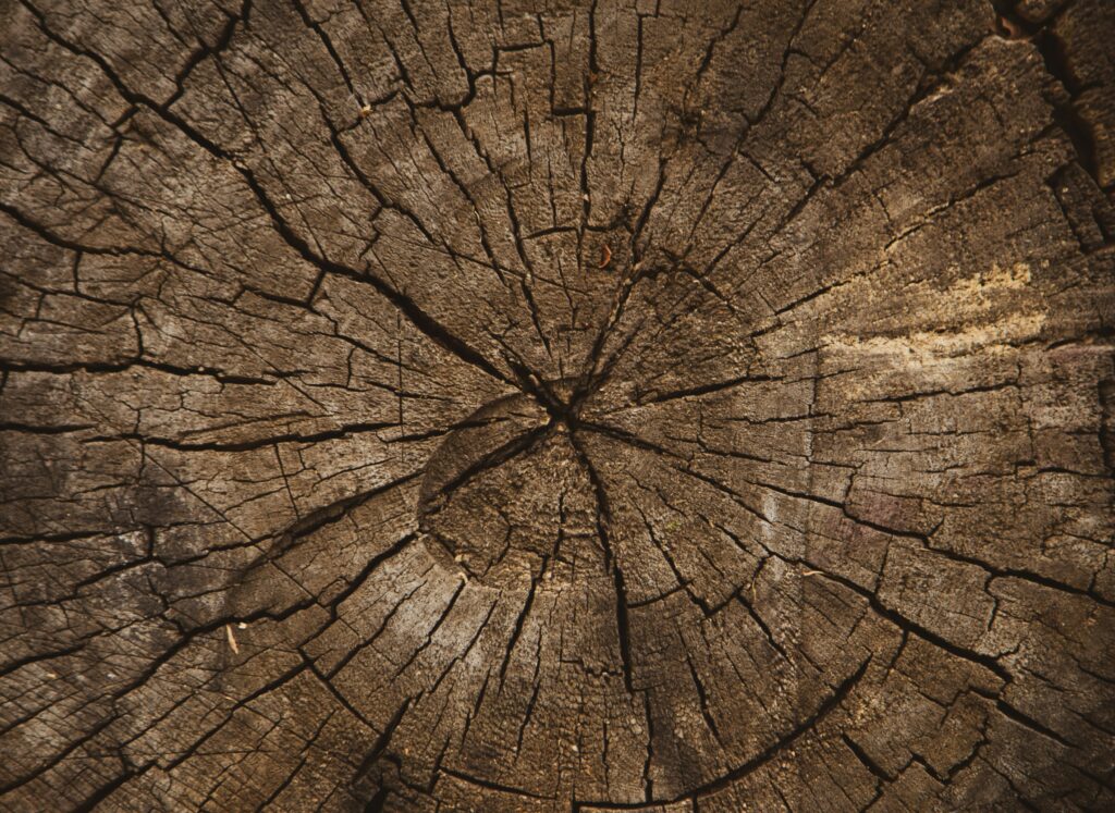 background-image